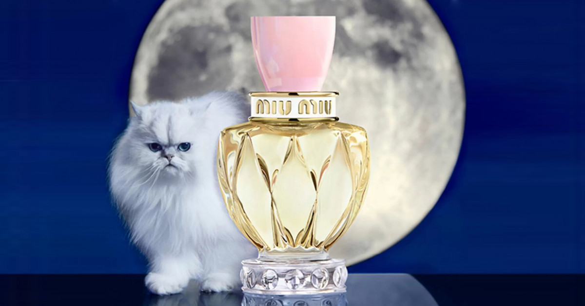 miu miu twist fragrantica