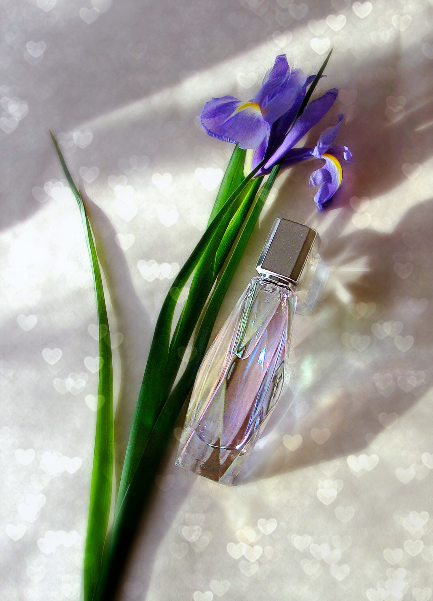 Ghost Dream by Ghost, 1.7 oz Eau de Parfum Spray for Women