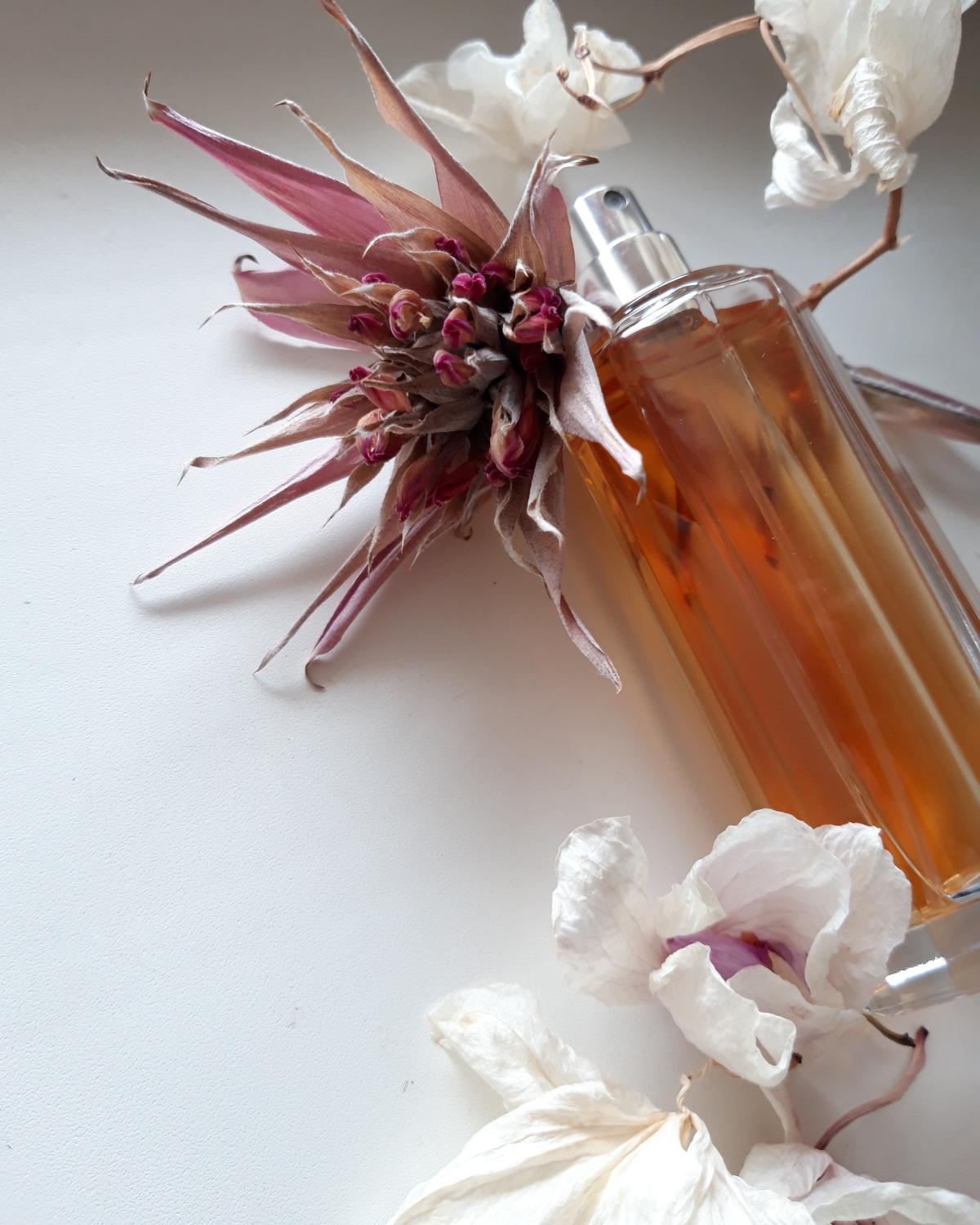 Escape Calvin Klein Parfum - ein es Parfum für Frauen 1991