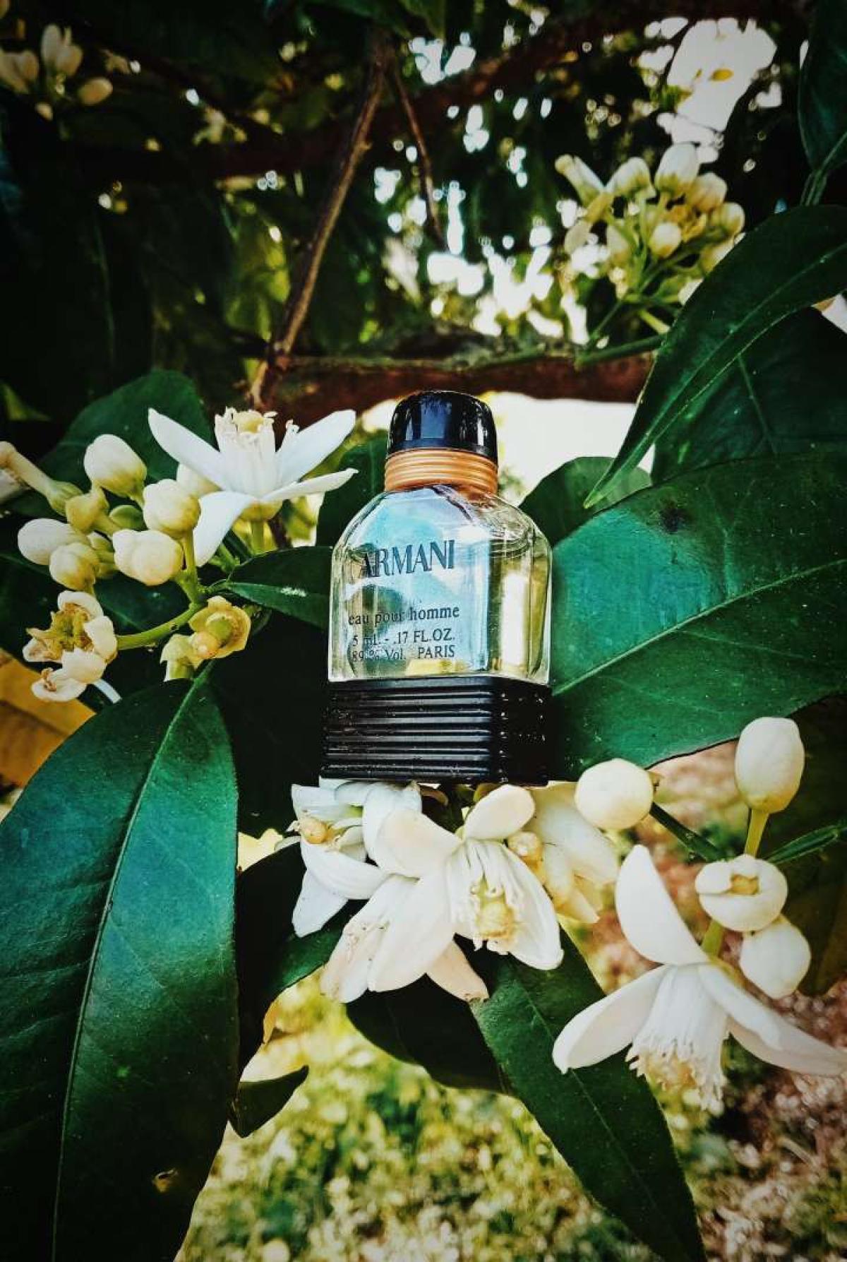 Armani Eau Pour Homme Giorgio Armani Cologne - ein es Parfum für Männer ...
