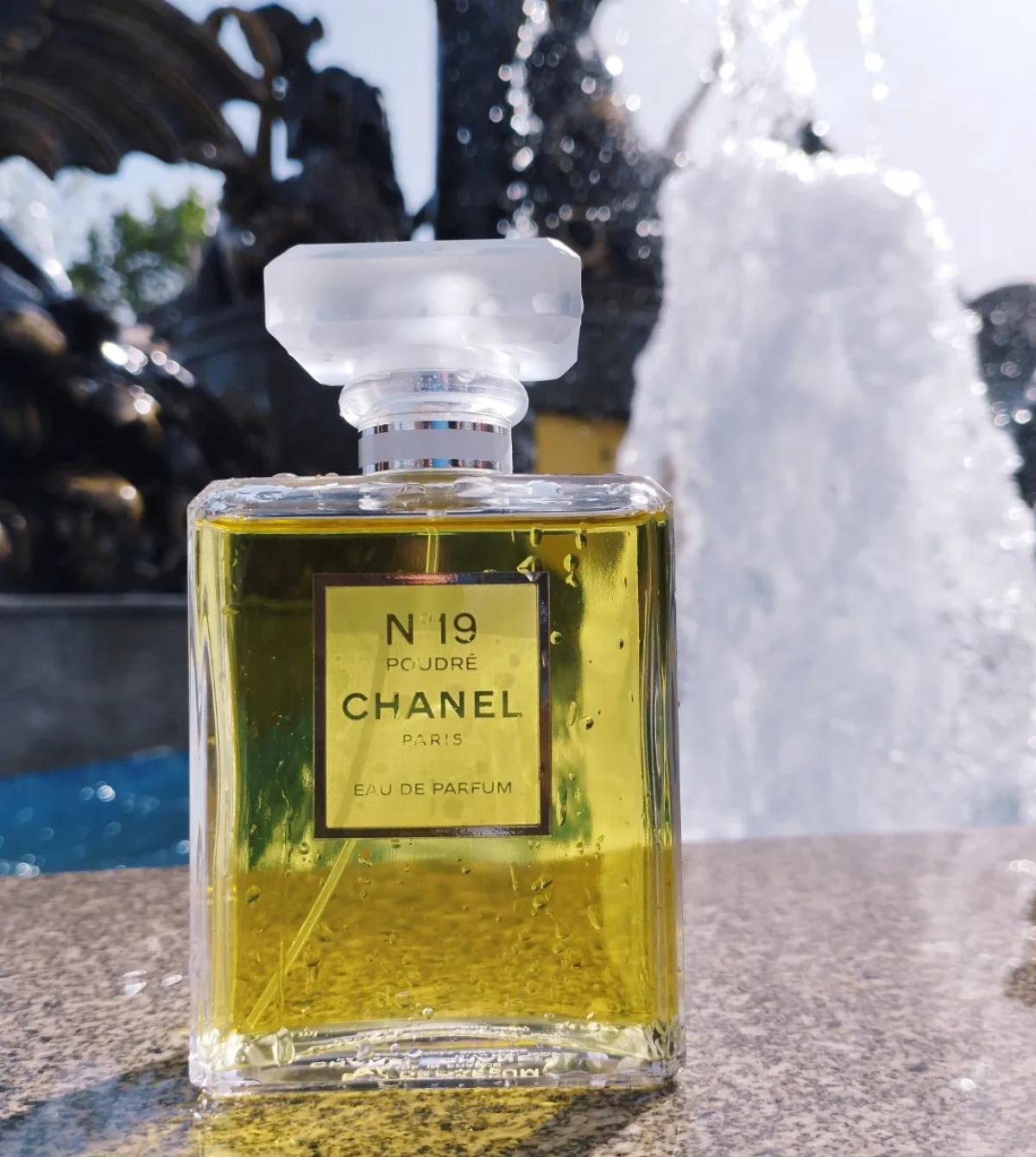 Chanel No 19 Poudre Chanel аромат — аромат для женщин 2011