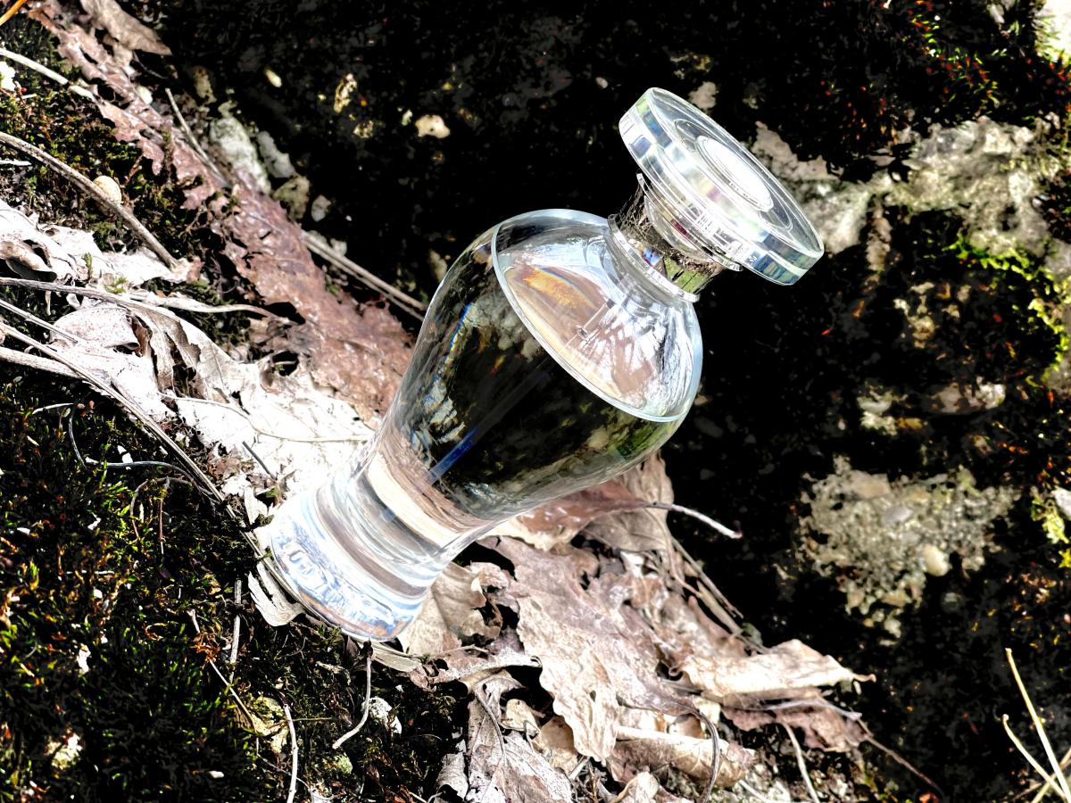 Gin Fizz Lubin Parfum ein es Parfum für Frauen 2009