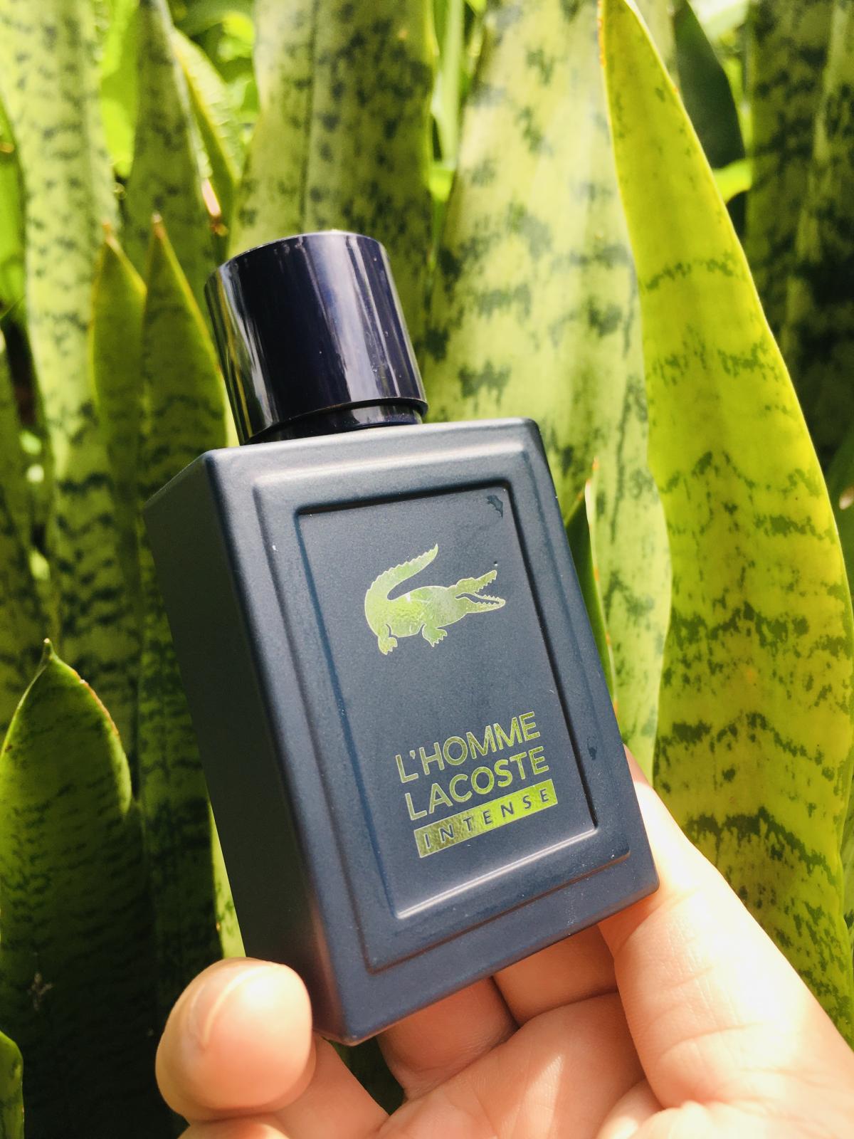 L'Homme Lacoste Intense Lacoste Fragrances Cologne - ein es Parfum für ...