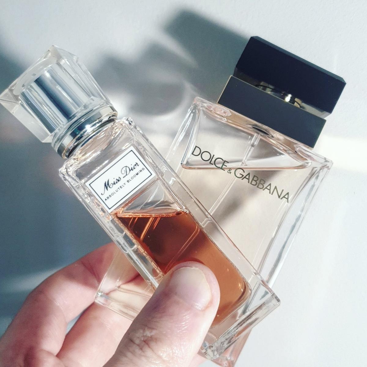 Dolce&Gabbana Pour Femme Dolce&Gabbana Parfum - ein es Parfum für ...