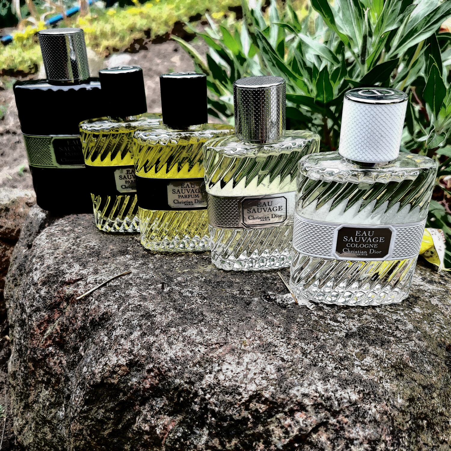 parfum eau de sauvage