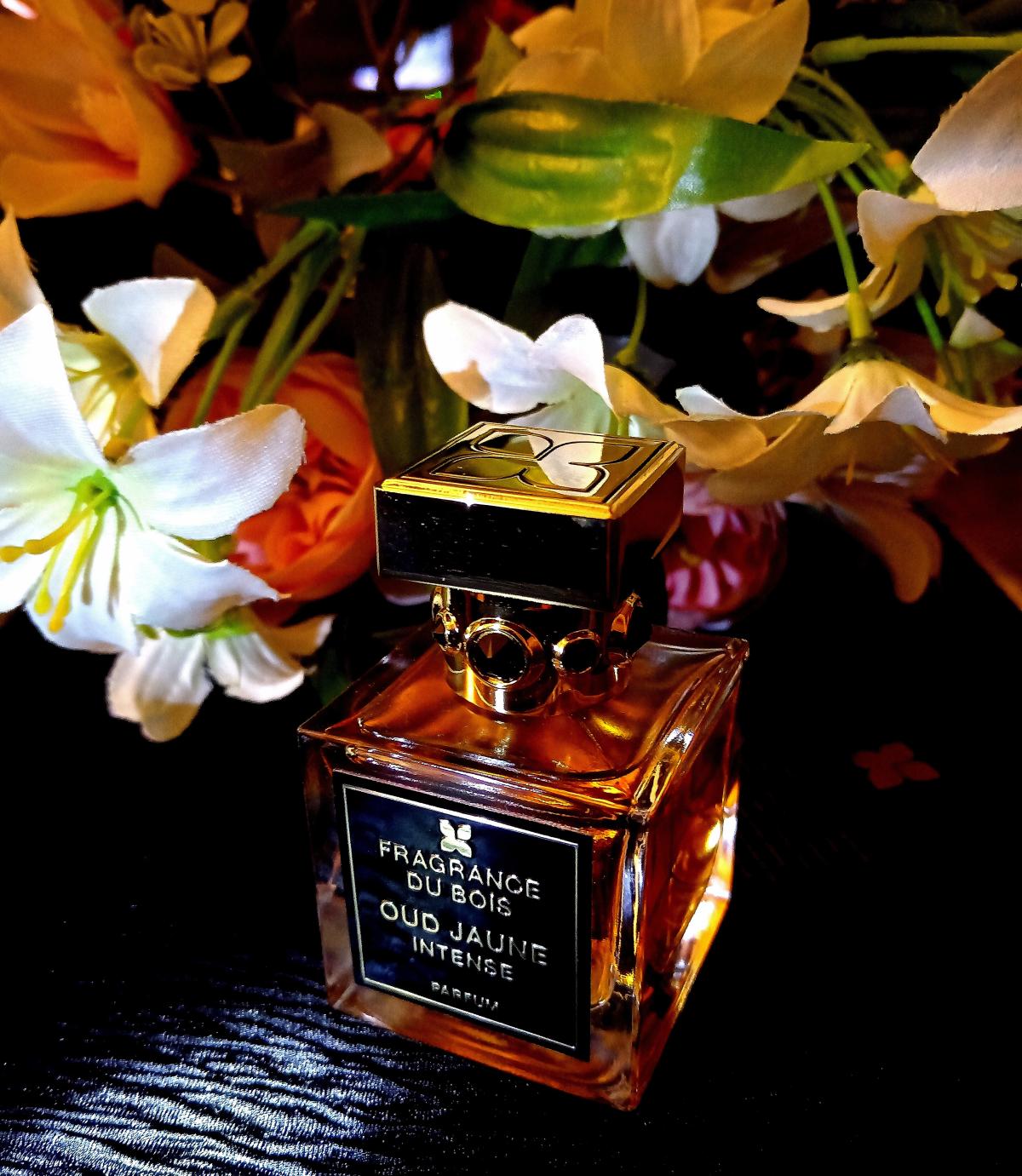 Oud Jaune Intense Fragrance Du Bois Parfum ein es Parfum für Frauen