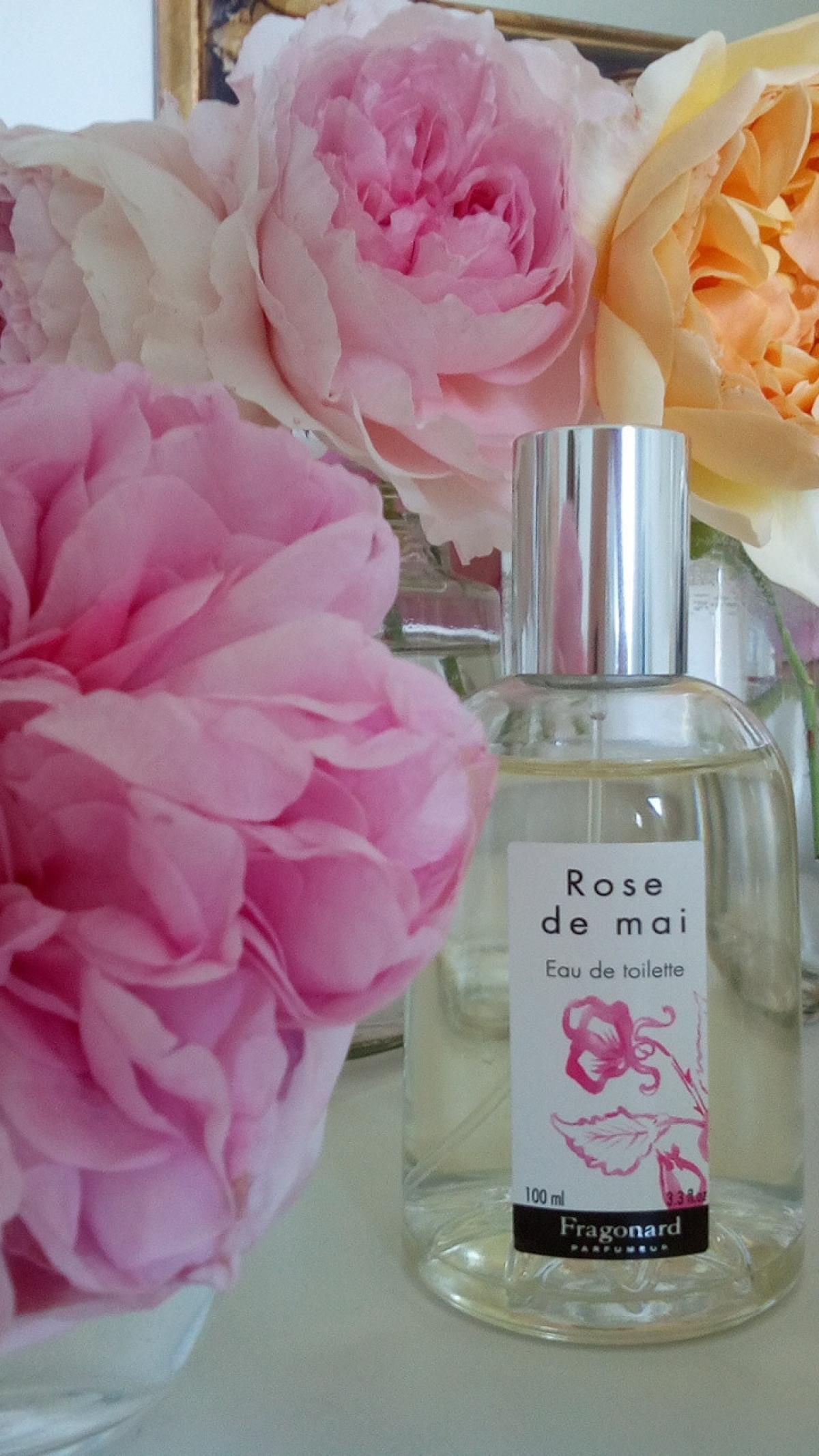 Rose de mai. Rose de mai Fragonard. Ma Rose духи.