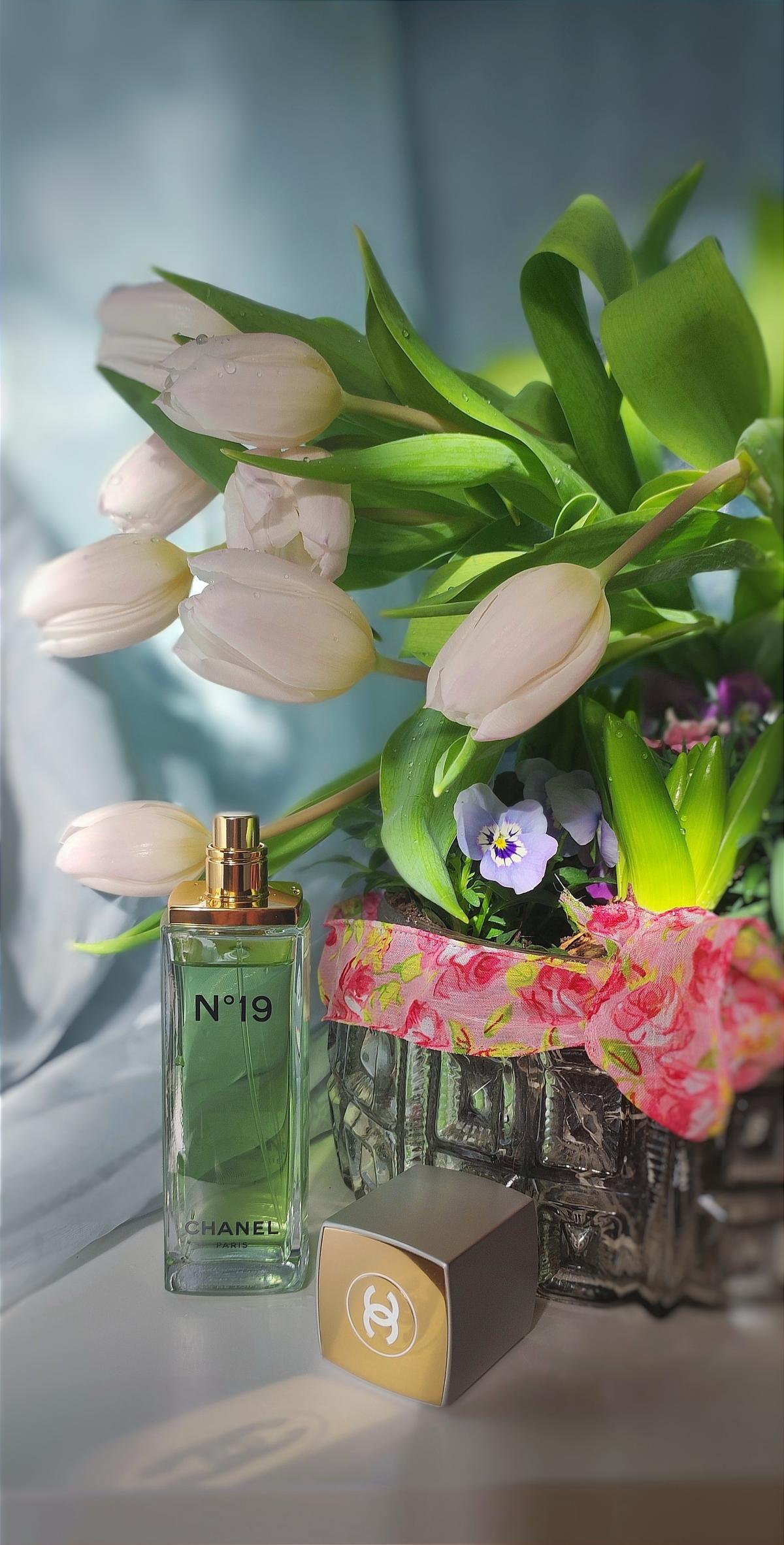 Chanel N 19 Eau De Toilette 2023 Chanel 2023 chanel-n-19-eau-de-toilette-2023-chanel-2023