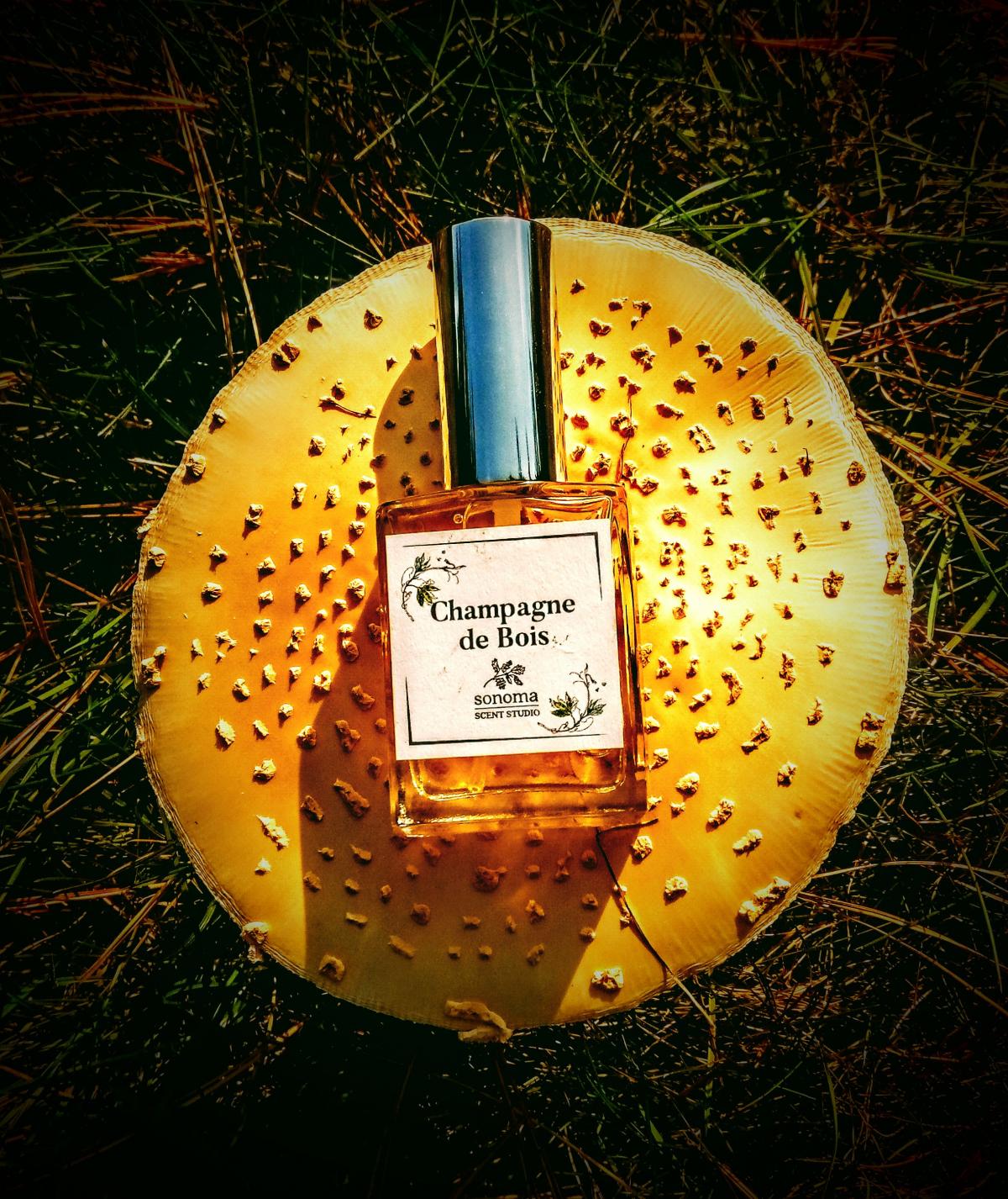 Champagne de Bois Sonoma Scent Studio parfum un parfum pour homme et