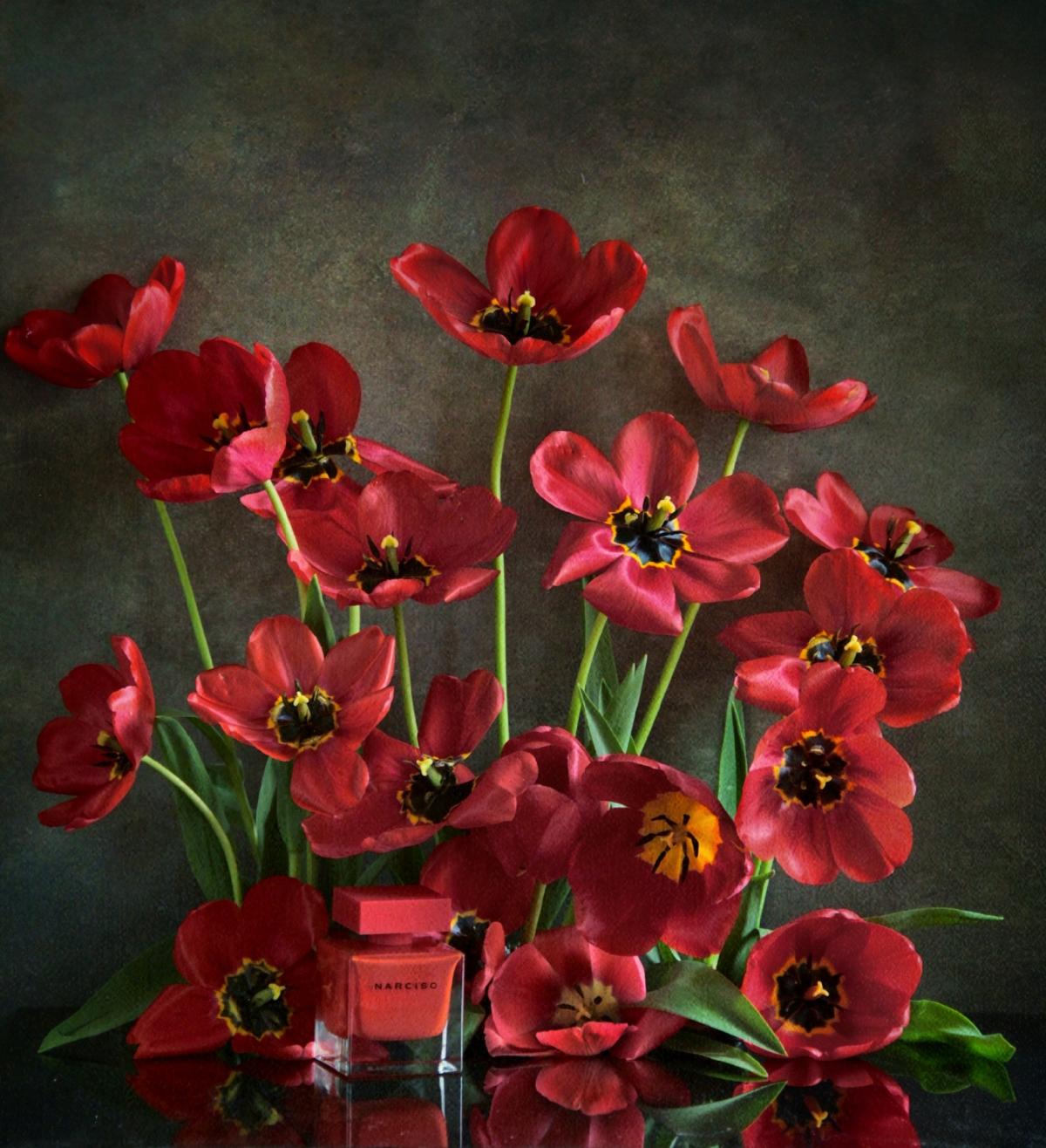 Narciso Rouge Narciso Rodriguez άρωμα - ένα άρωμα για γυναίκες 2018