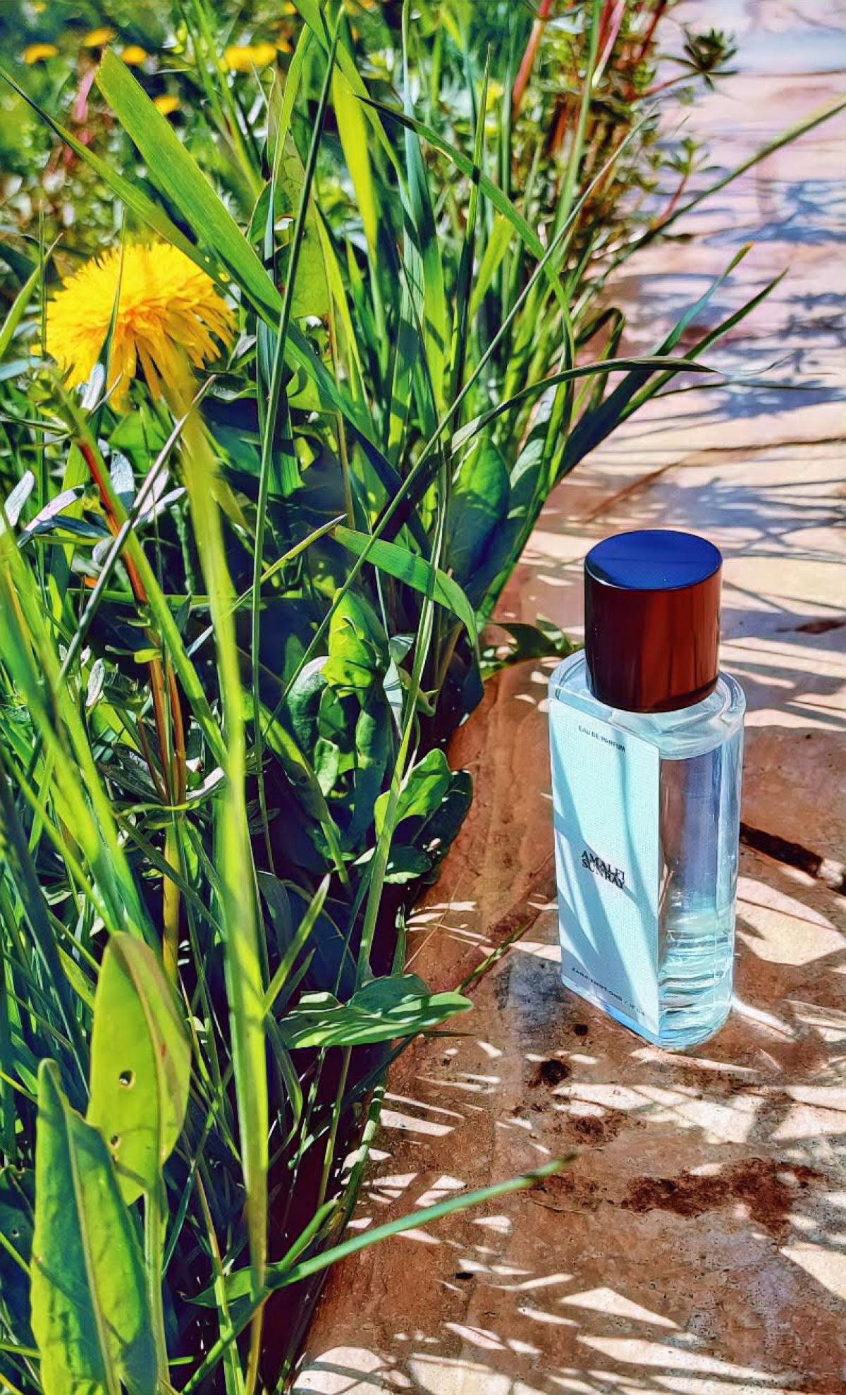 Amalfi Sunray Zara parfém a vůně pro ženy a muže 2019