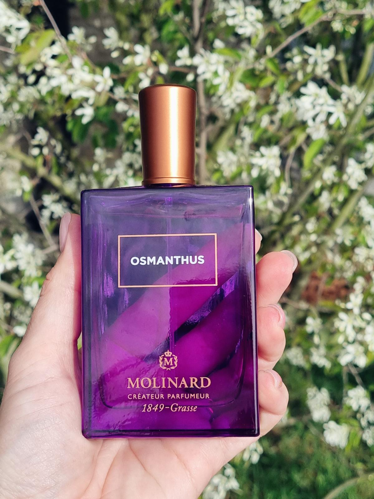 Osmanthus Eau de Parfum Molinard аромат — аромат для мужчин и женщин 2021