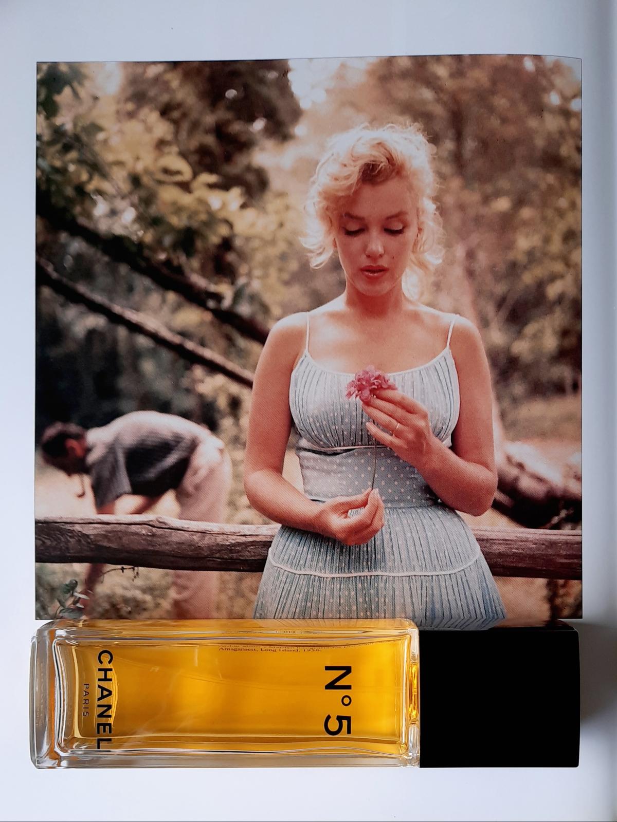 The Secret to Bagging Your Dream Man? Why, Chanel No5, Of Course! - The  Marilyn Monroe Collection