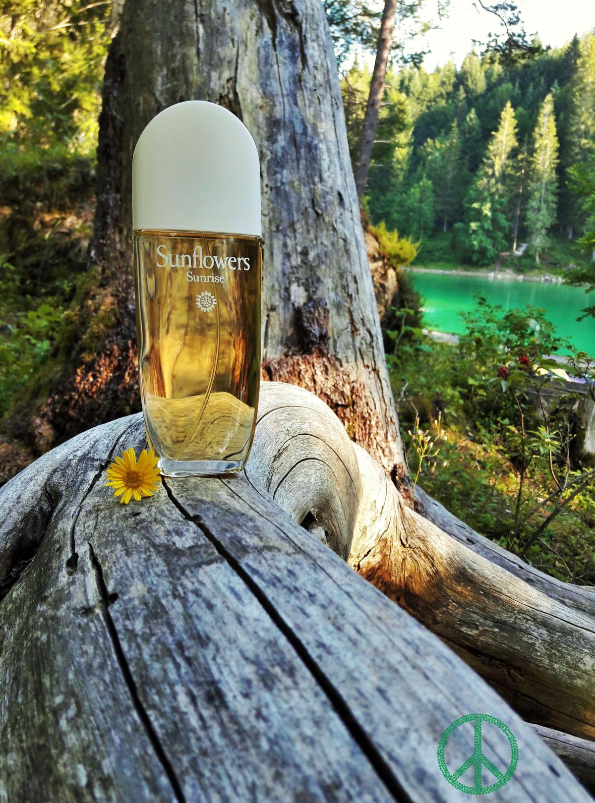 Sunflowers Sunrise Elizabeth Arden perfume a fragrância Feminino 2021