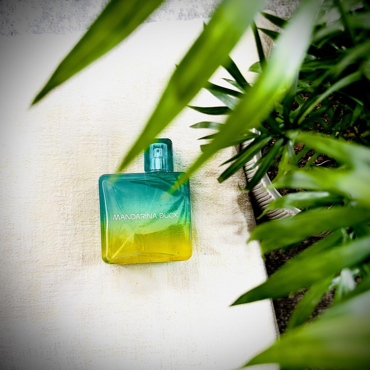 Vida Loca For Him Mandarina Duck Cologne un nouveau parfum pour homme