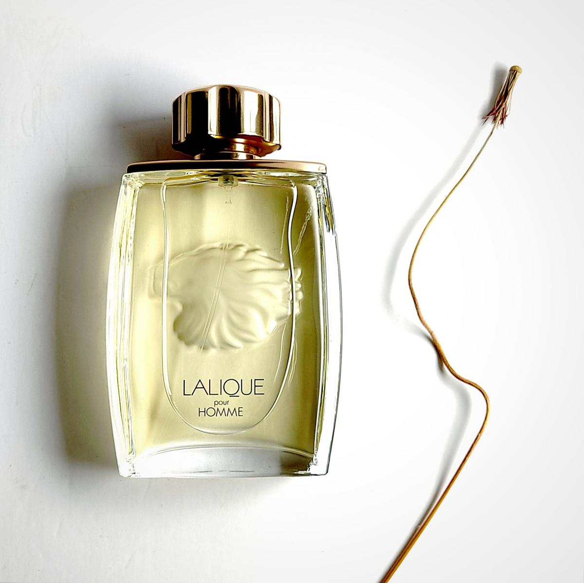 Lalique homme. Lalique homme Парфюм. Лалик pour homme. Лалик Лезер Купер. Лалик Пур хом.
