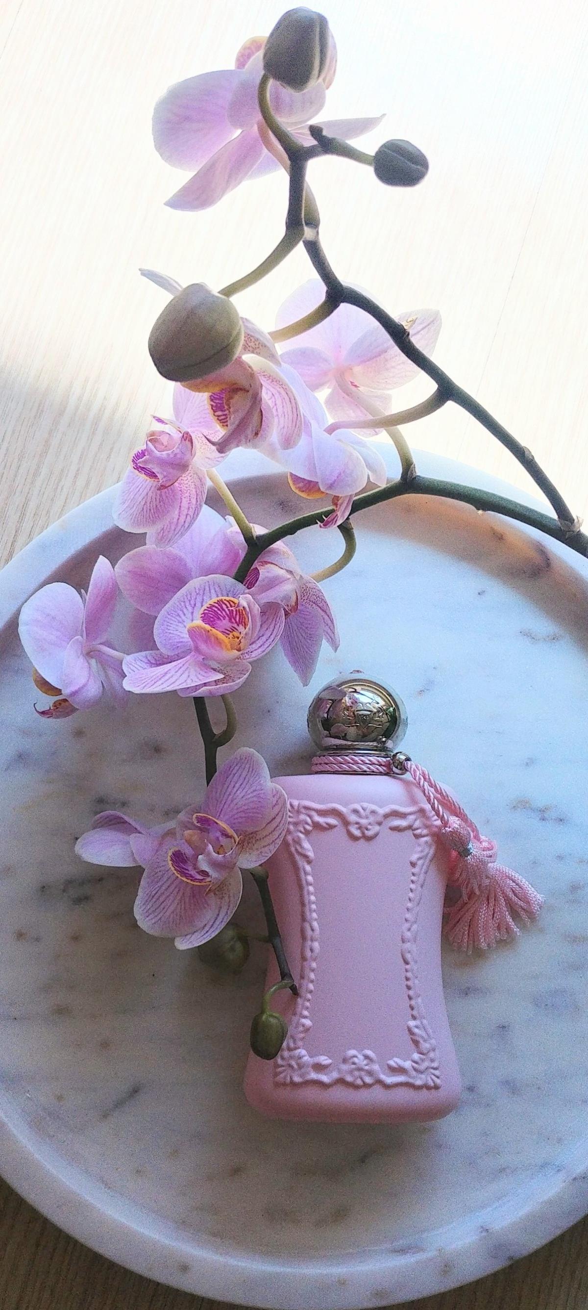 Delina Parfums de Marly аромат — аромат для женщин 2017