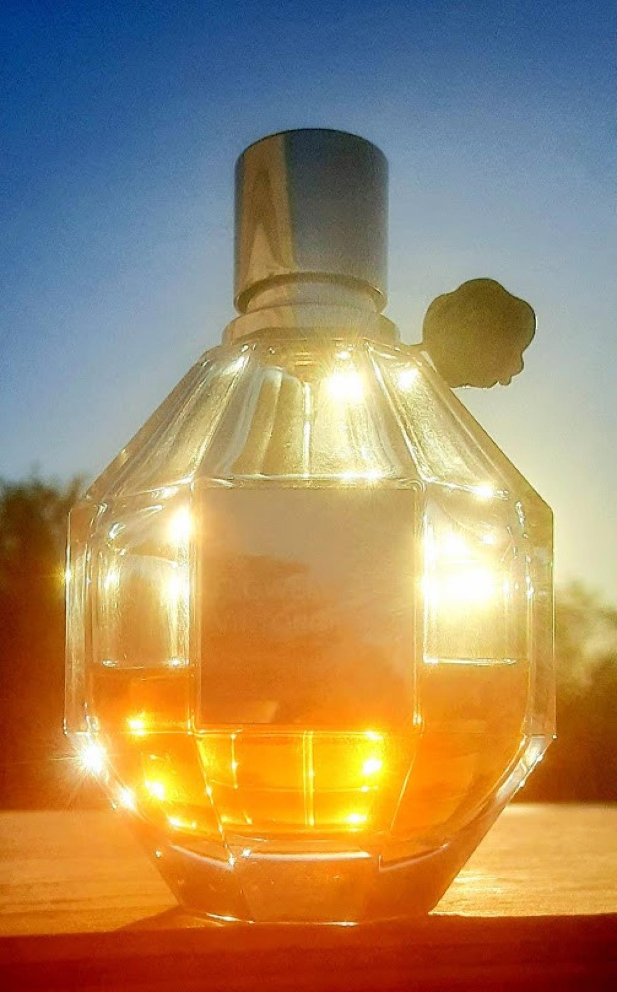 Flowerbomb Viktor&Rolf fragancia una fragancia para Mujeres 2005