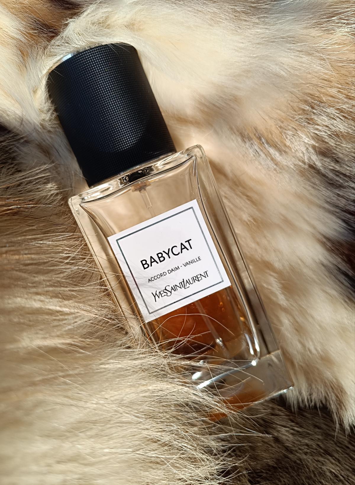 Babycat Yves Saint Laurent Parfum ein neues Parfum für Frauen und Männer 2022