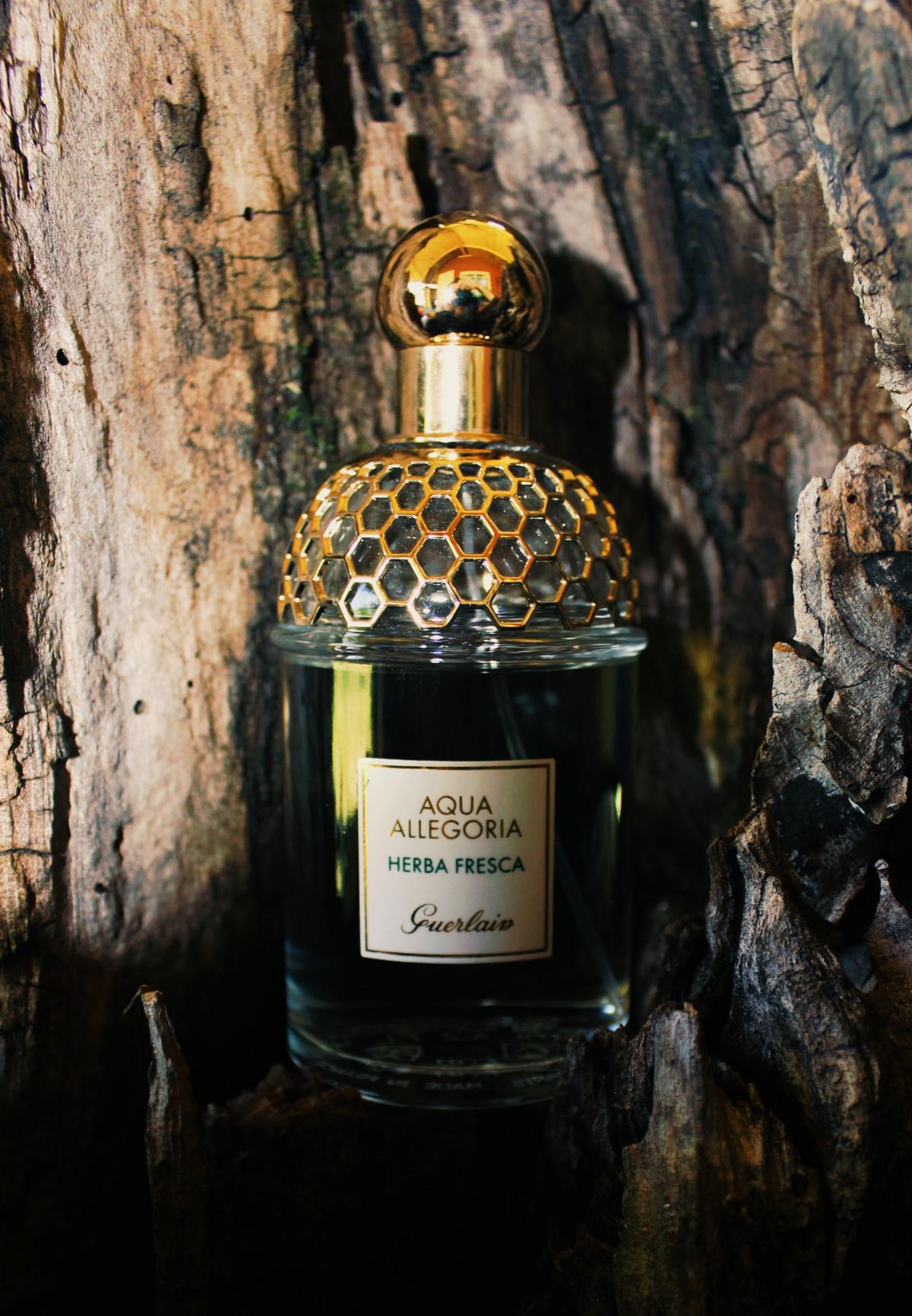 Аква аллегория херба. Герлен Херба фреска. Духи Aqua Allegoria herba fresca. Guerlain Aqua Allegoria картинки herba fresca. Herba fresca Guerlain Старая коллекция.