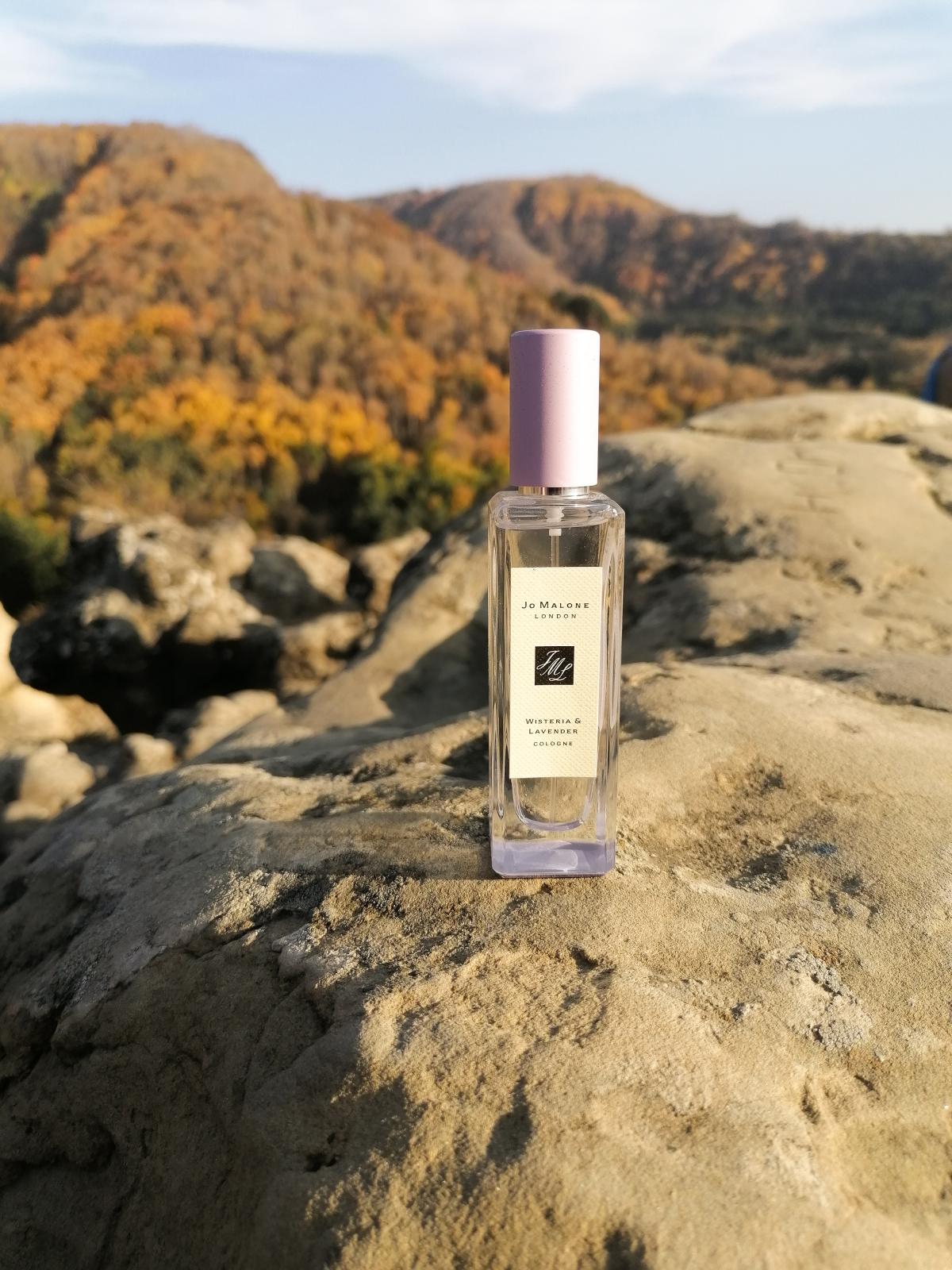 Wisteria & Lavender Cologne Jo Malone London parfum een geur voor
