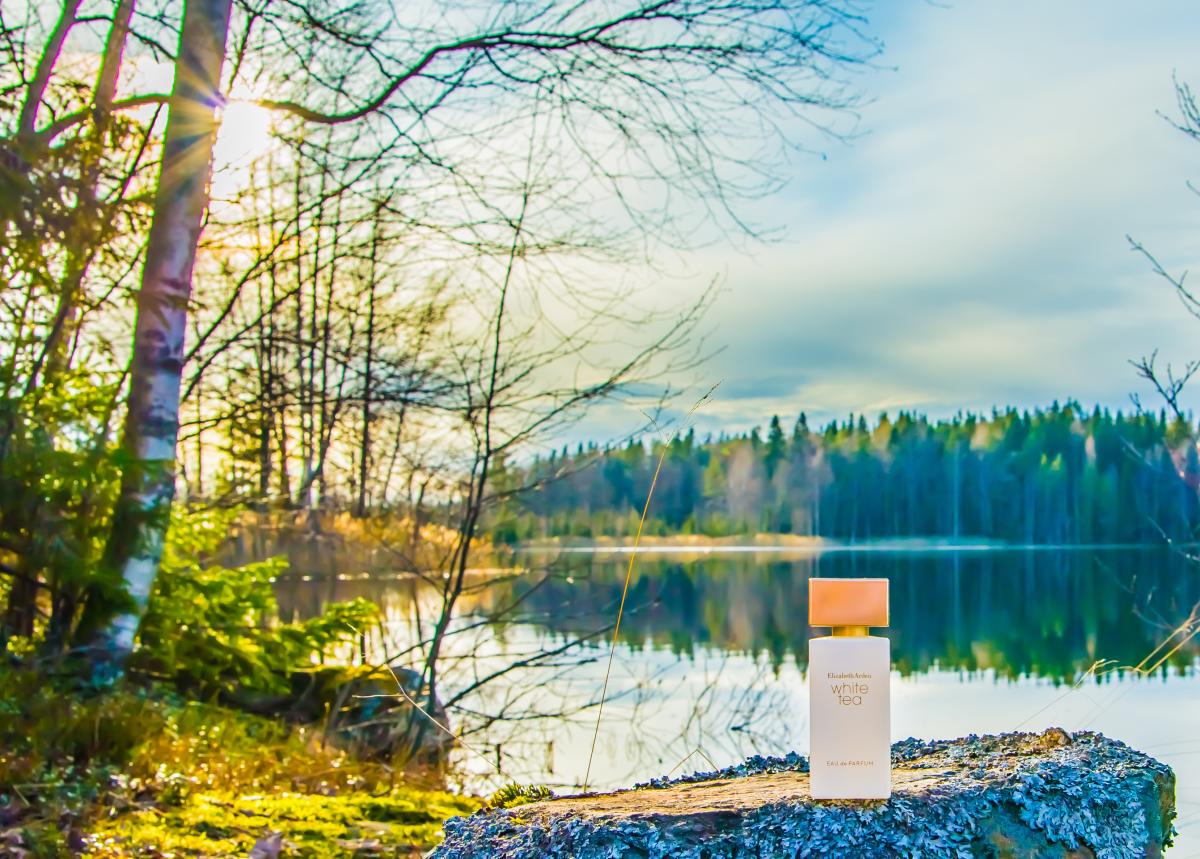 White Tea Eau de Parfum Elizabeth Arden Parfum ein neues Parfum für