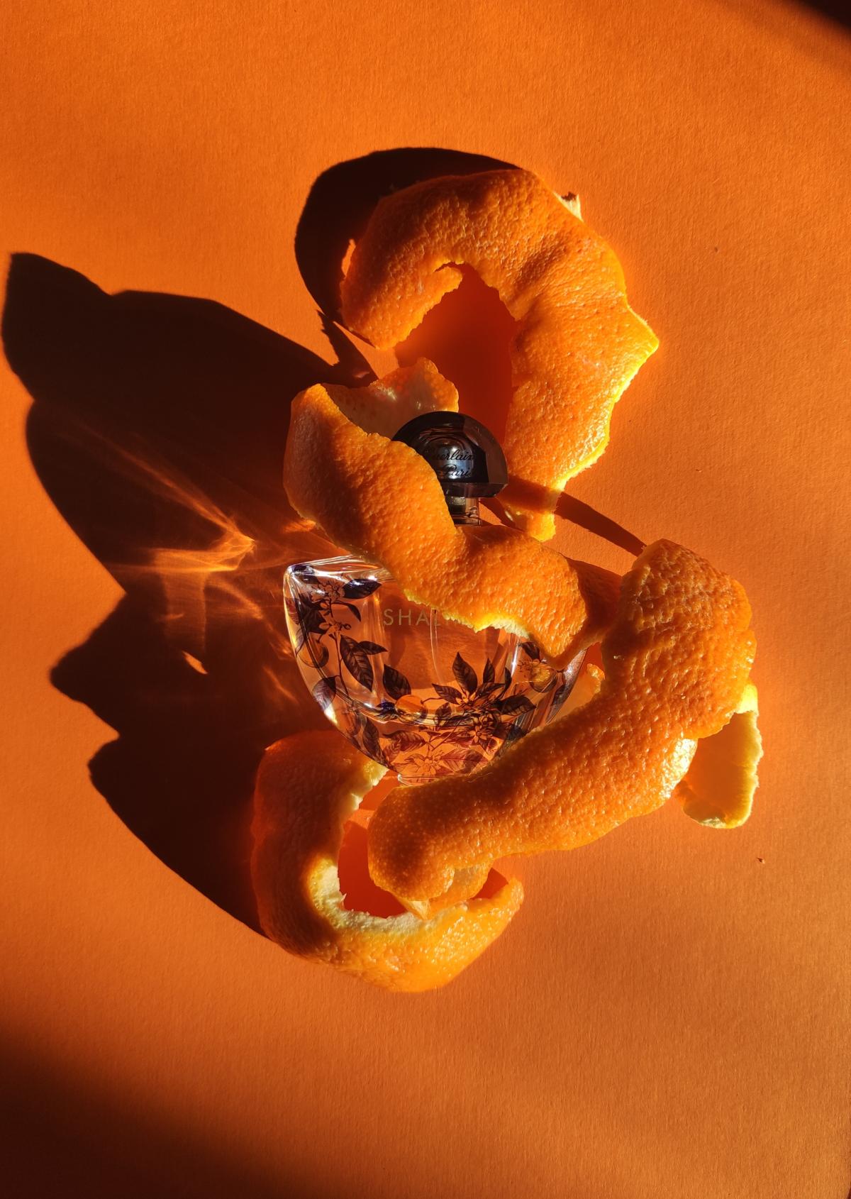 gamme shalimar guerlain