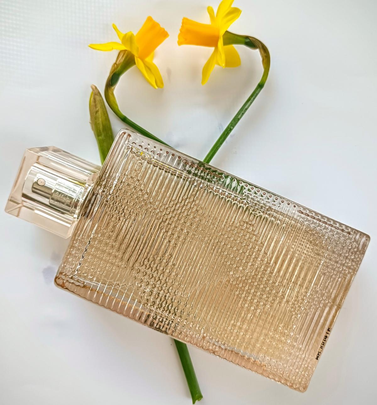 burberry brit rhythm for her douglas