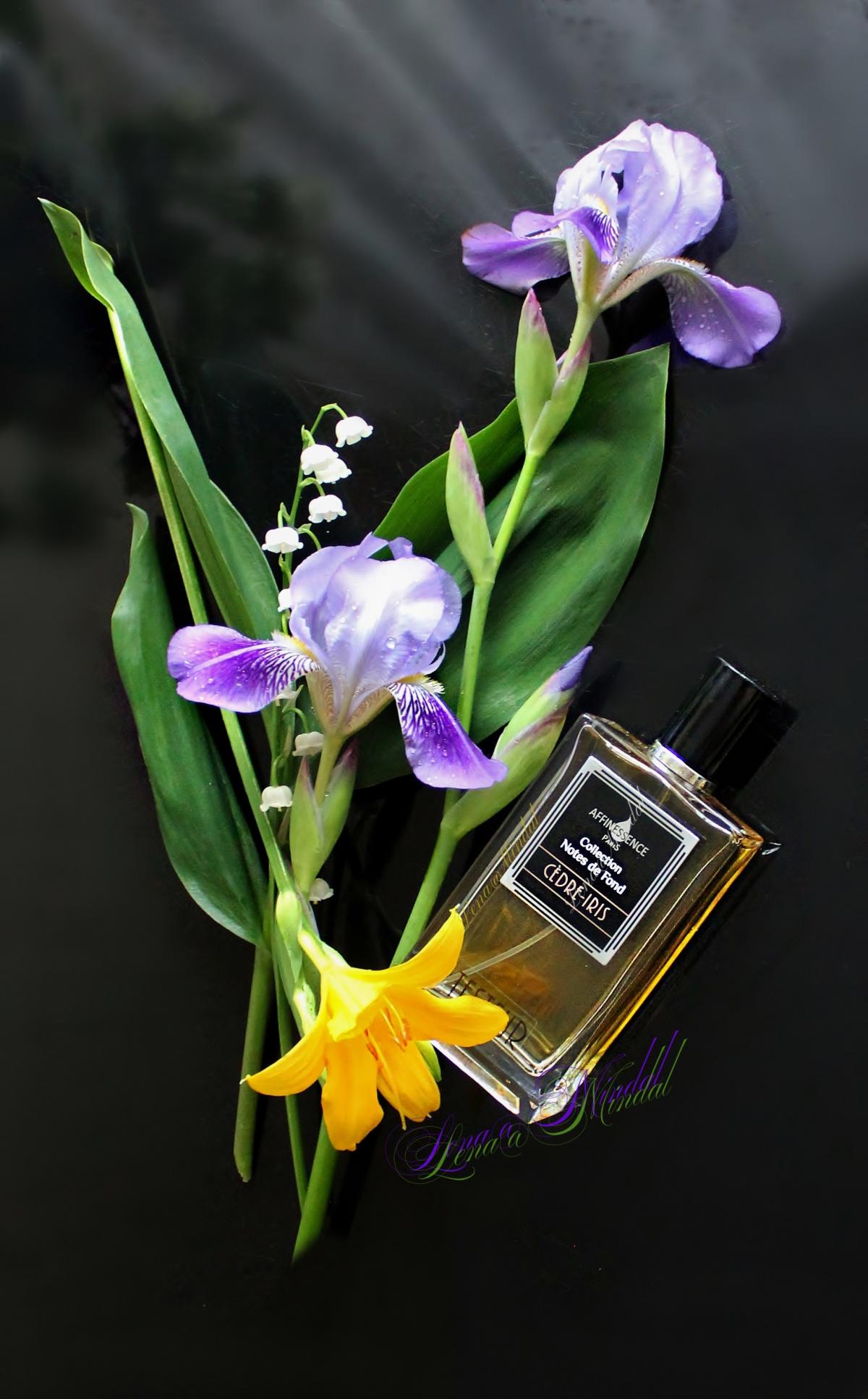 Cedrè Iris Affinessence perfume a fragrância Compartilhável 2015