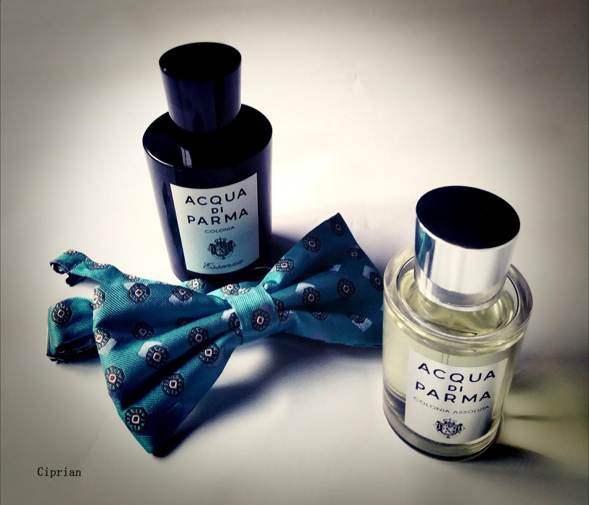 Acqua di Parma Colonia Assoluta Acqua di Parma аромат — аромат для ...
