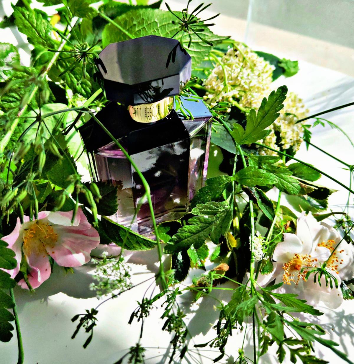 Stella (2014) Stella McCartney parfum een geur voor dames 2014