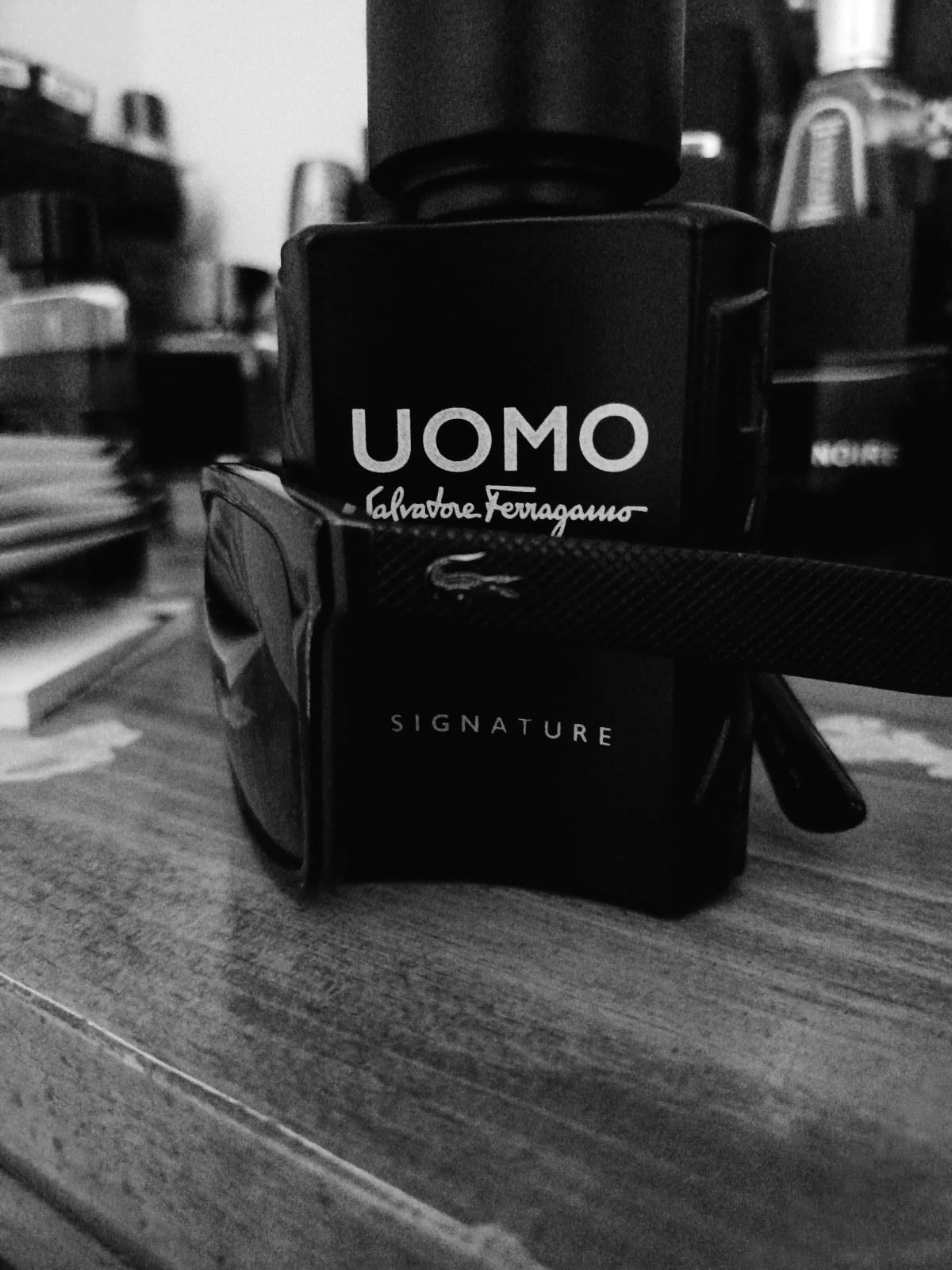 Uomo Salvatore Ferragamo Signature Salvatore Ferragamo Kolonjska voda ...