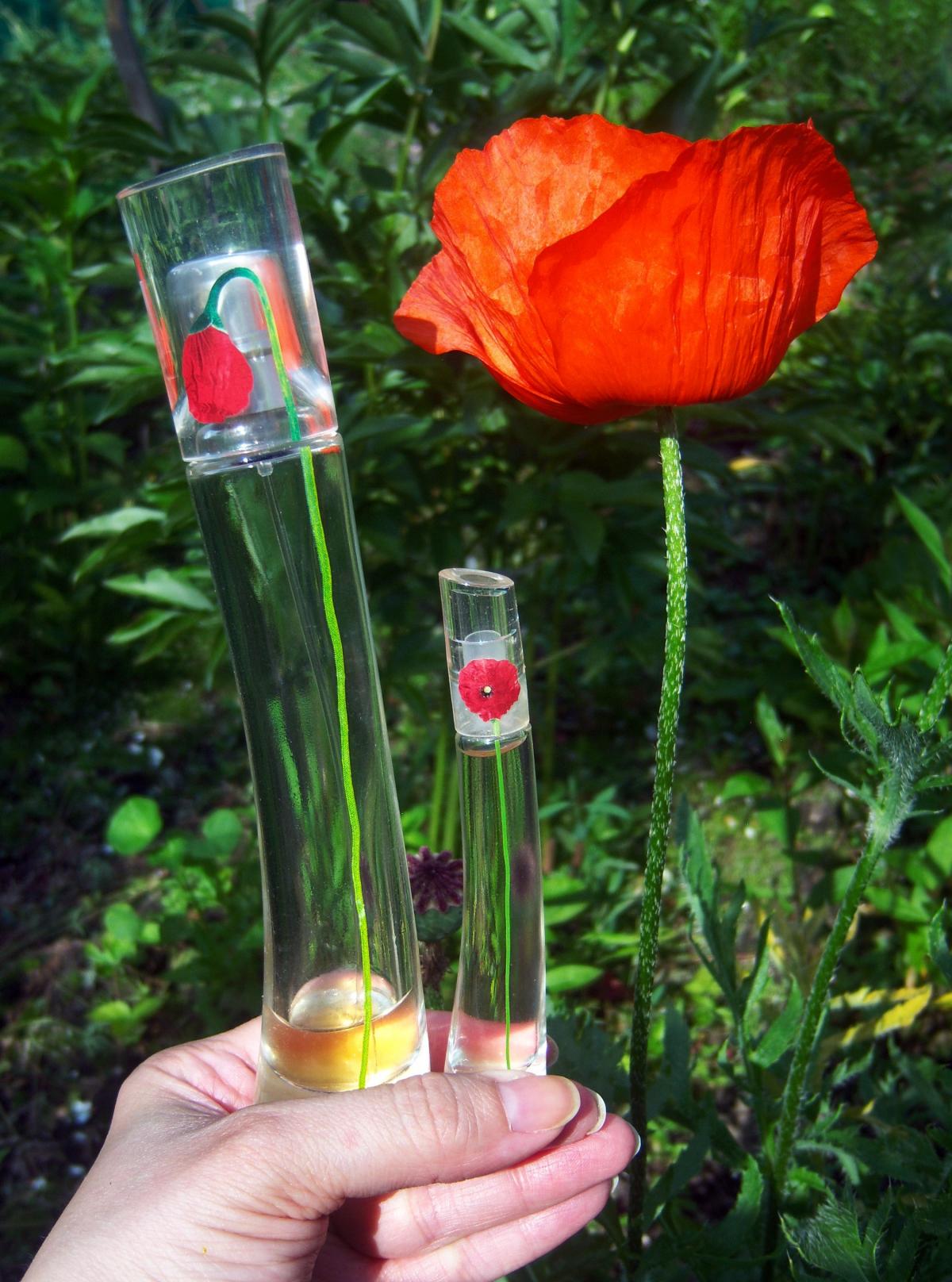 flower kenzo origine parfum