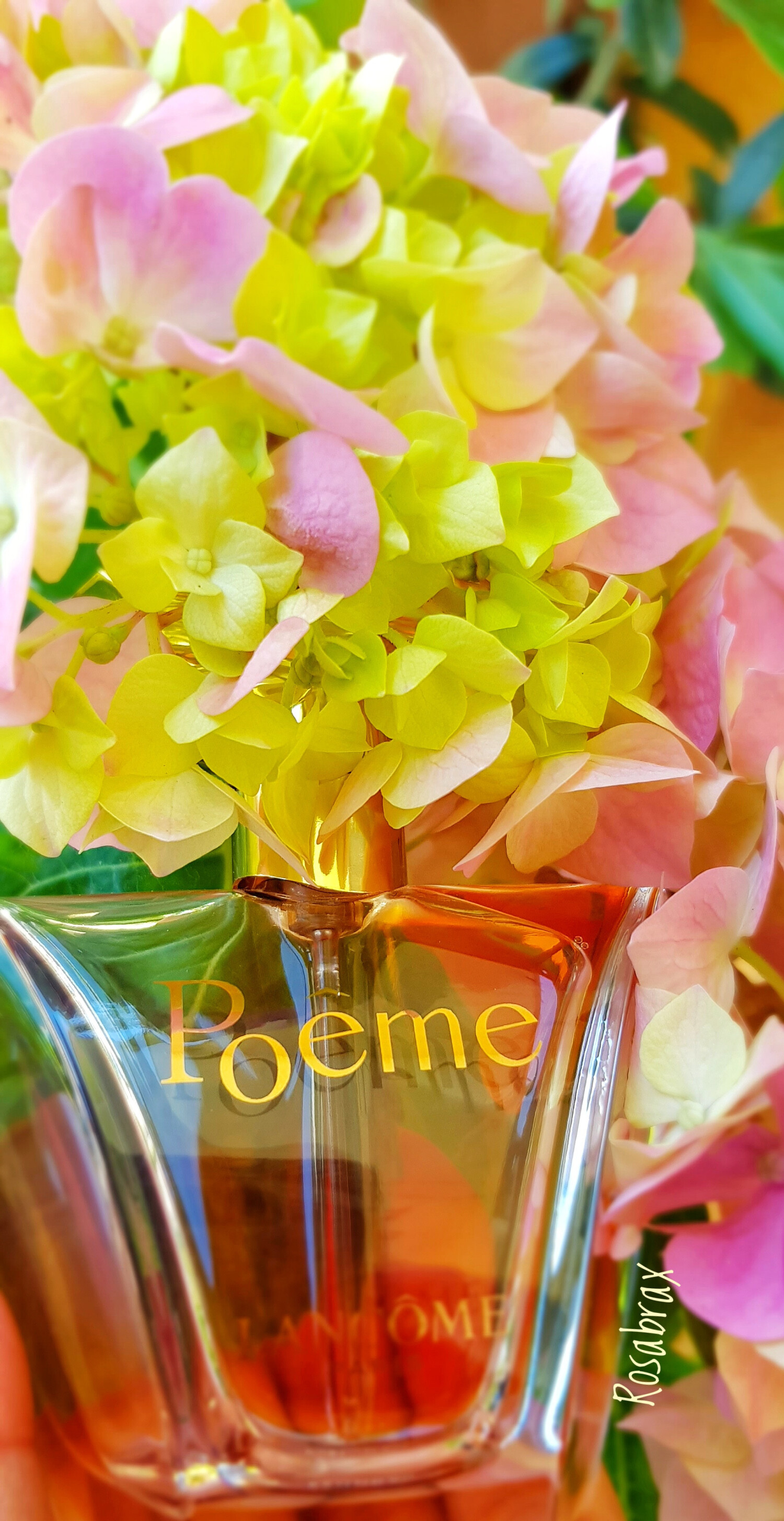 Parfum Générique Poème N35 Pour Femme - 100 Ml - Aérosol - Marque Prady - Neuf
