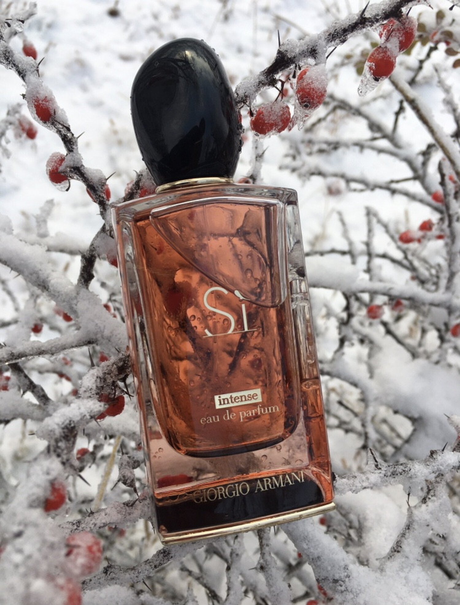 Sì Intense 2021 Giorgio Armani عطر - a fragrance للنساء 2021