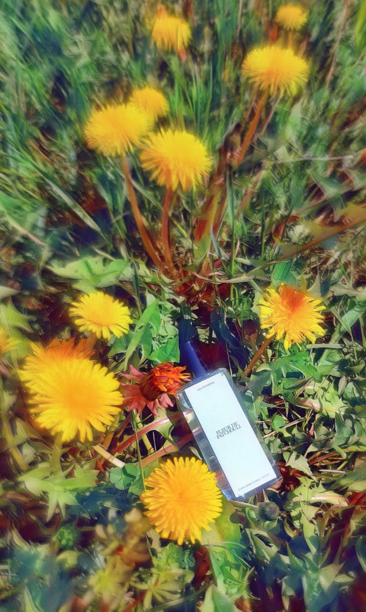 Fleur de Patchouli Zara Parfum ein es Parfum für Frauen und Männer 2019