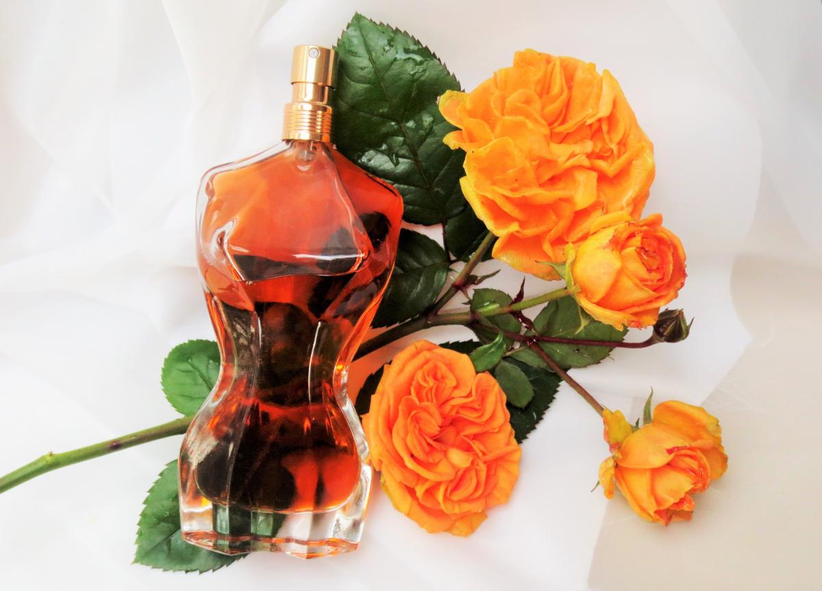 Classique Essence De Parfum Jean Paul Gaultier www.fragrantica.ru