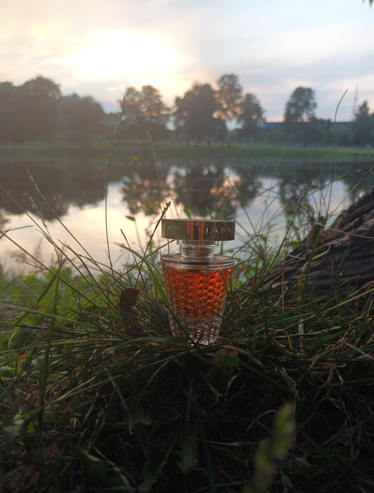 NafNaf NafNaf Parfum - ein es Parfum für Frauen 2007