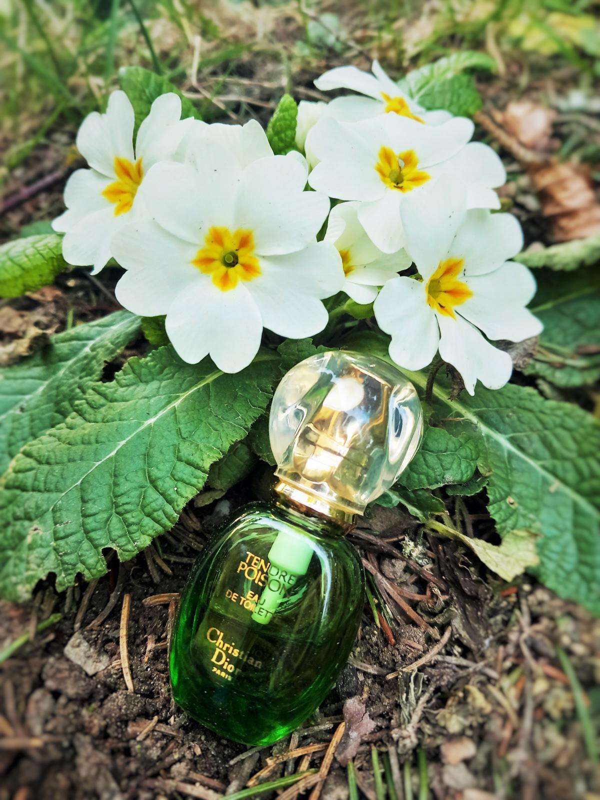 Tendre Poison Dior Parfum - ein es Parfum für Frauen 1994