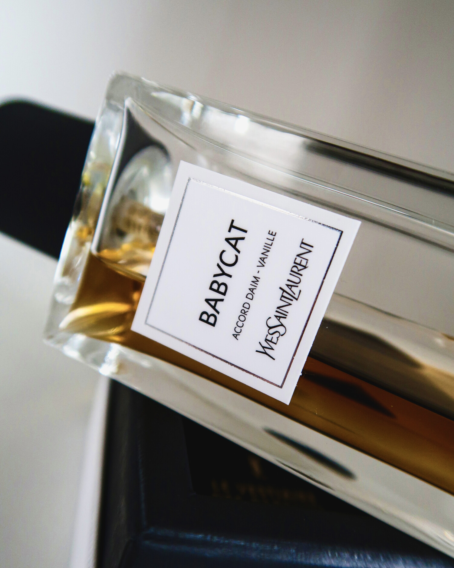 Babycat Yves Saint Laurent - una novità fragranza unisex 2022