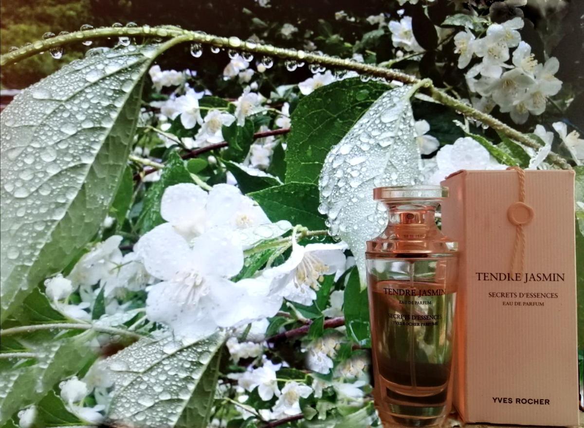 Tendre Jasmin Yves Rocher Parfum - ein es Parfum für Frauen 2008