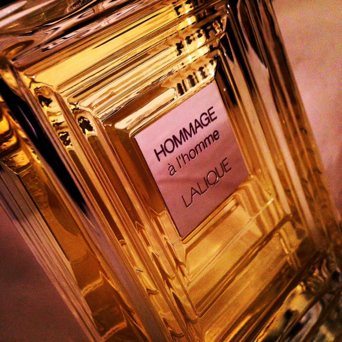 Hommage L Homme Eau De Toilette Lalique Kolonjska Voda Parfem Za Mu Karce