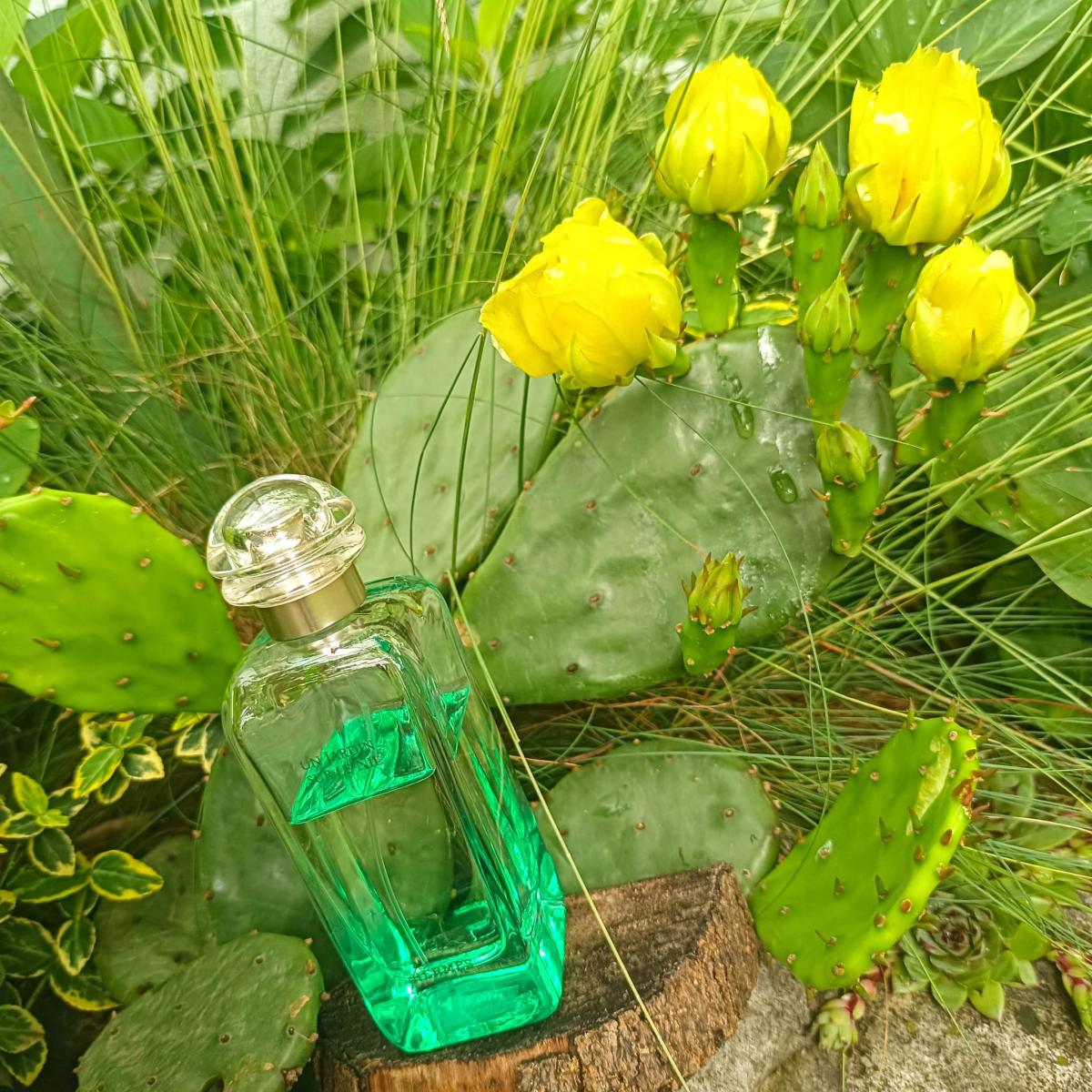hermès parfum un jardin sur le nil