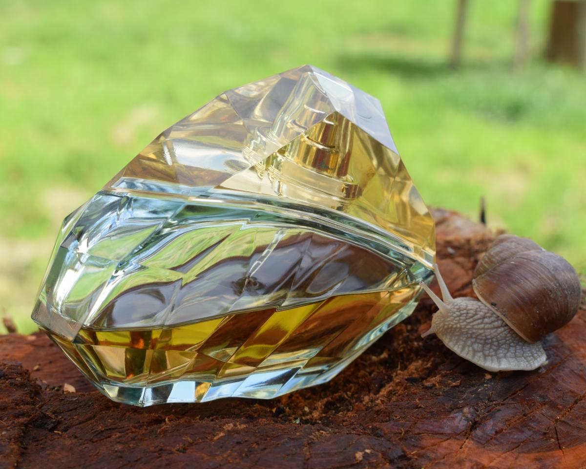 Deseo Jennifer Lopez parfum - een geur voor dames 2008