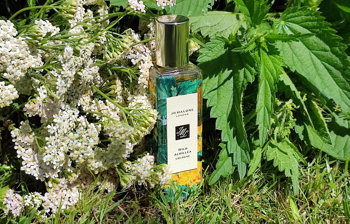 Wild Achillea Jo Malone London Una Novità Fragranza Unisex 2023