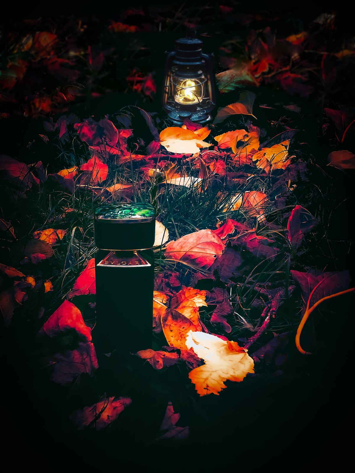 Kobraa Bvlgari Cologne - ein es Parfum für Männer 2020
