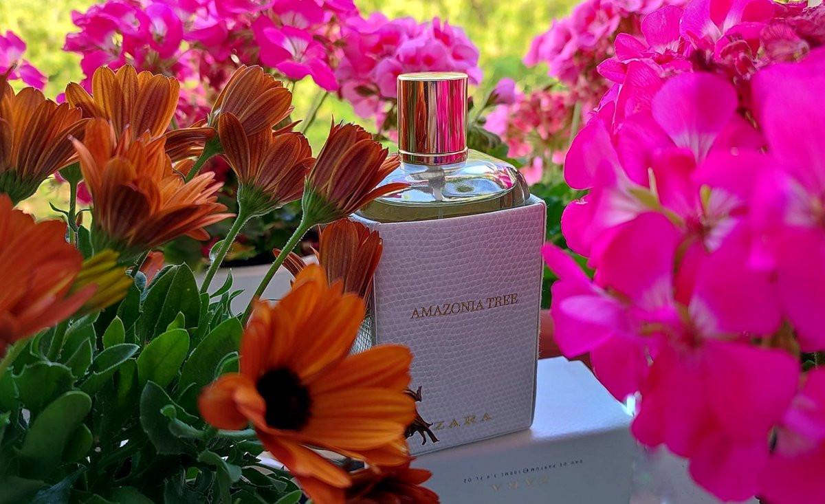 Amazonia Tree Zara parfum een geur voor dames 2018