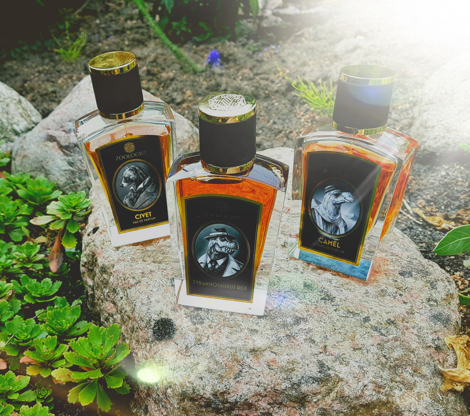 Top com aplicações camel - Lança perfume