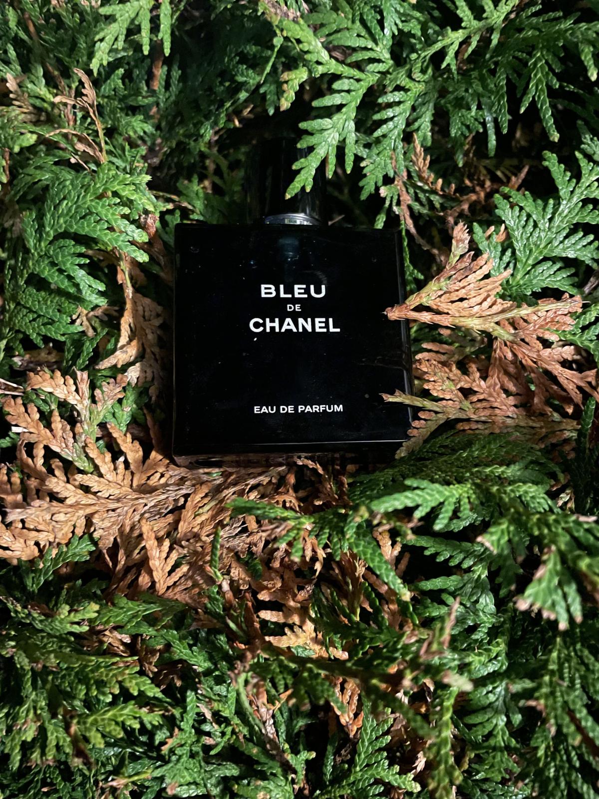 Bleu de Chanel Eau de Parfum Chanel Cologne - ein es Parfum für Männer 2014