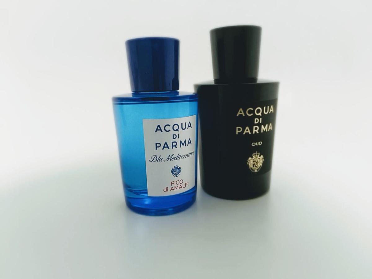 Acqua Di Parma Fico Di Amalfi 100ml www.fragrantica.es